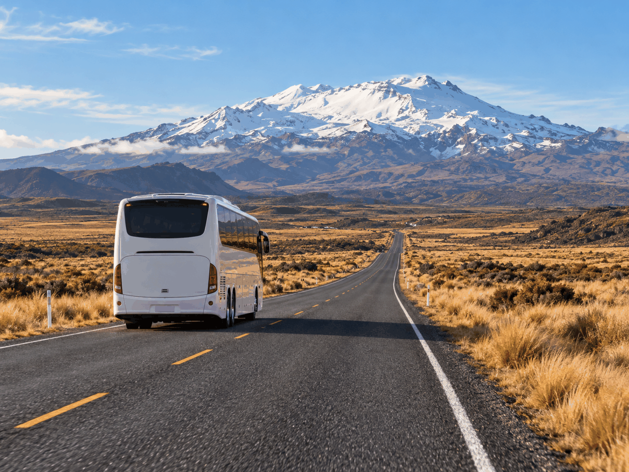 Long Distance Coach Hire New Zealand